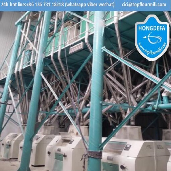 Zambia Roller Mill Maize Flour Mill (20t 30t 50t 100t)