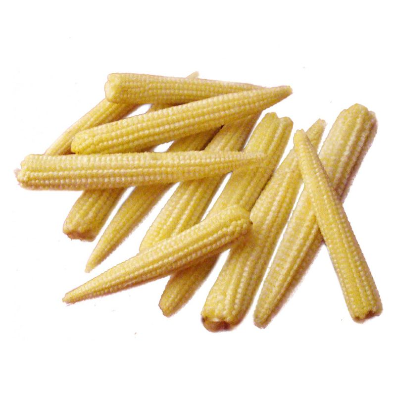 Canned Baby Corn Whole with High Quality