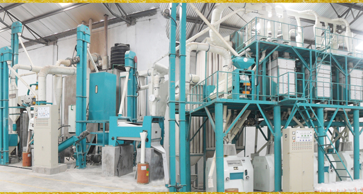 50t/24h Hot Selling Africa Market Maize Milling Machine
