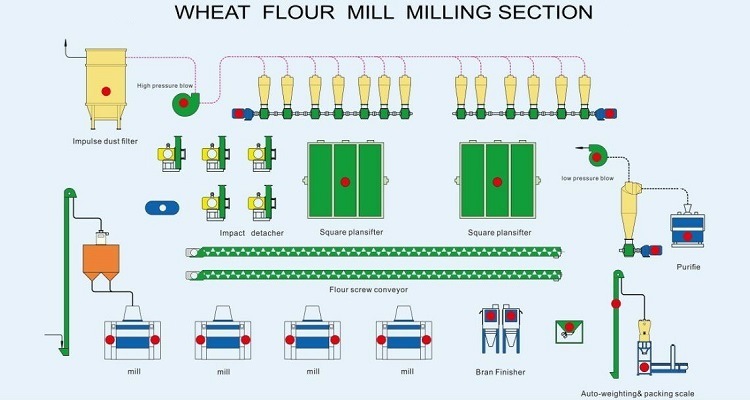 Various Final Flours Wheat Flour Mill