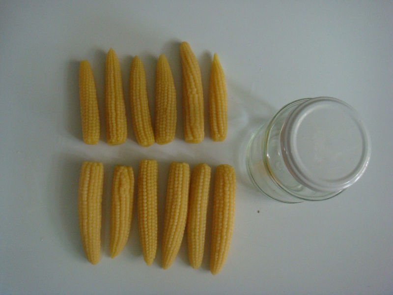 2017 Crop Canned Baby Corn