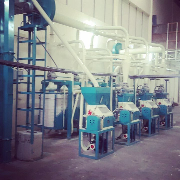 Africa Running Small Scale Maize Milling Equipment