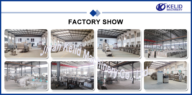 Fully Automatic Maize Starch Production Line