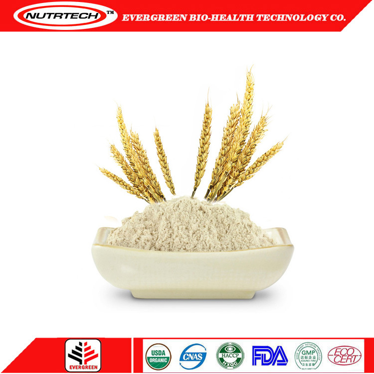 Wholesale Vegan Organic and Natural Brown Rice Protein Powder