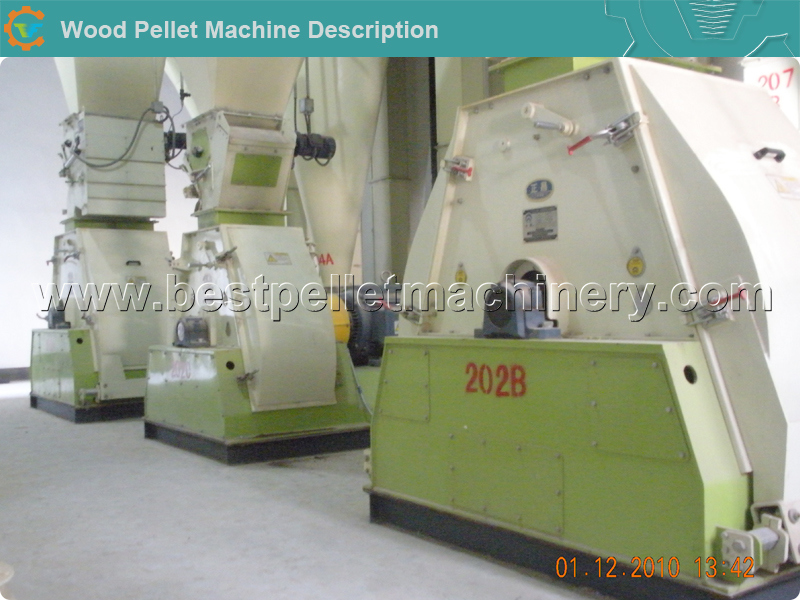 Ce Large Scale Cattle Pellet Feed Production Line