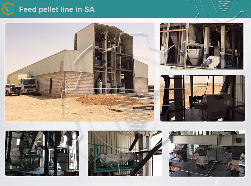Cattle Feed, Poultry Feed, Animal Feed Pellet Press Machine