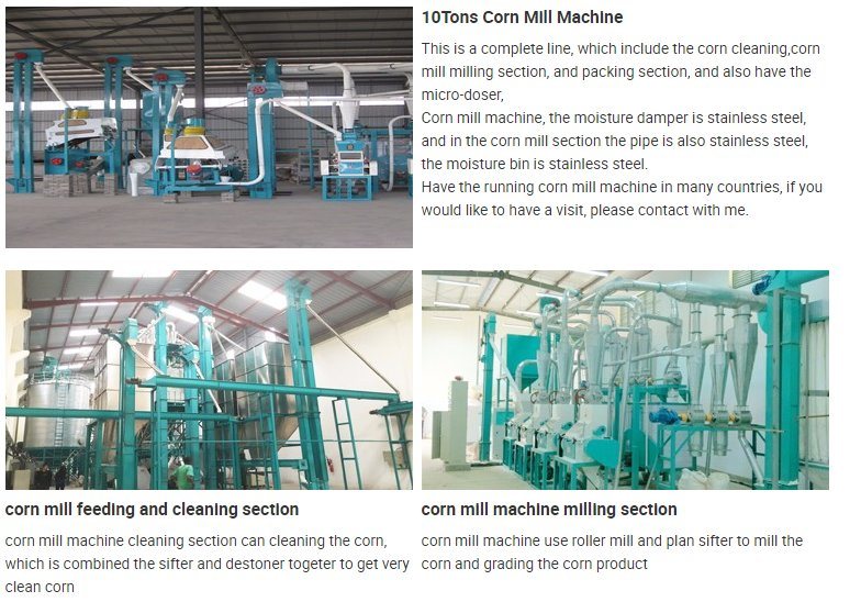 10t/24h Small Scale Corn Flour Milling Machines