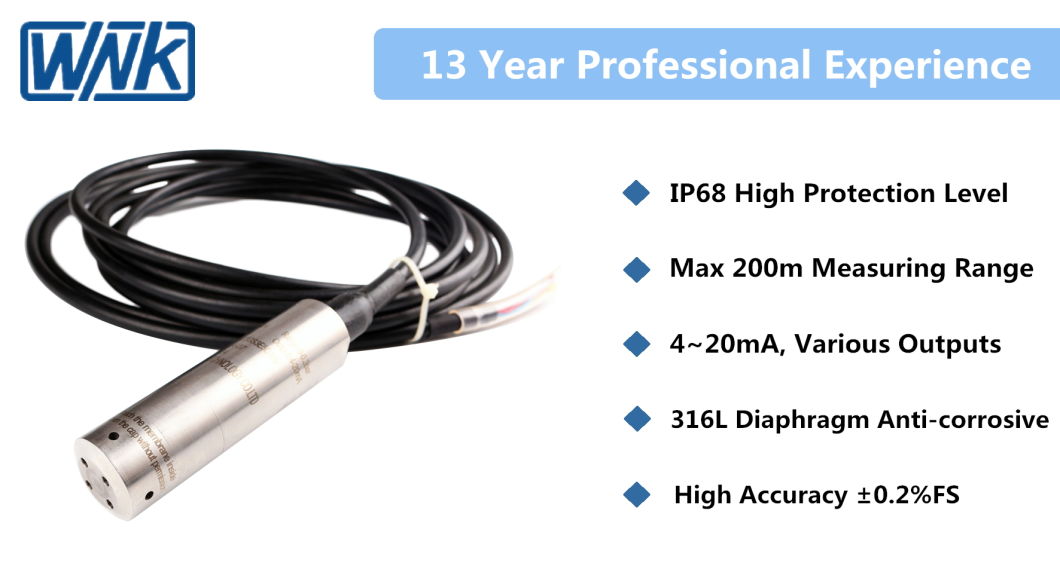 SS304 4~20mA Submersible Probe Water Level Gauge for Pool, Tank