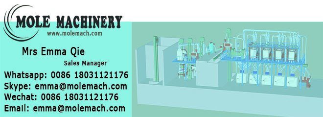 Maize Corn Cone Grinding Wheat Processing Flour Production Plant for Russia