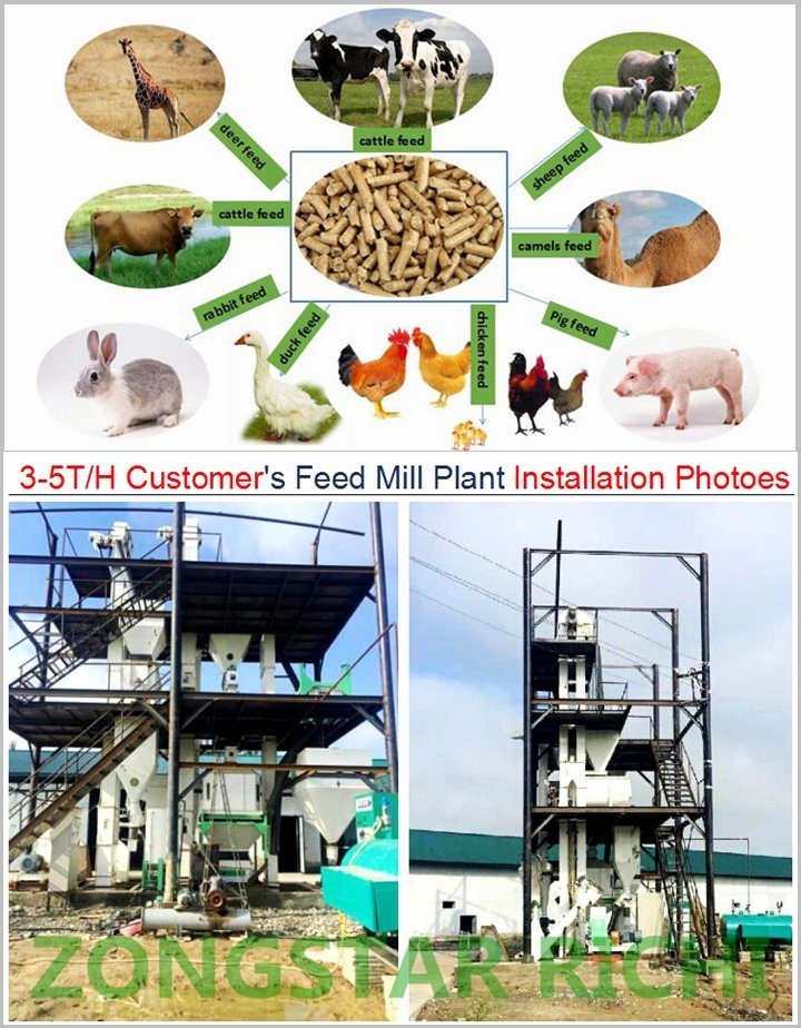 Turn Key Livestock Animal Feed Production Line From Ce Approved Supplier