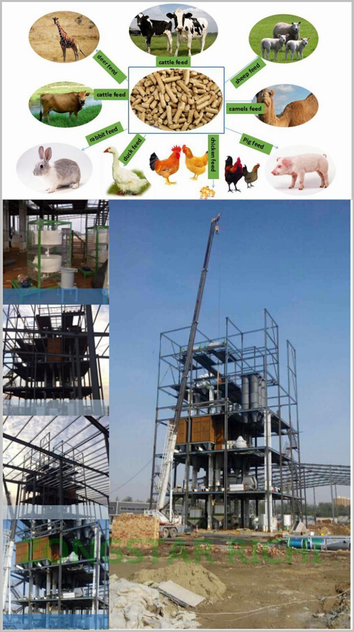 8-10t/H Turn Key Livestock Feed Production Line From Ce Approved Supplier