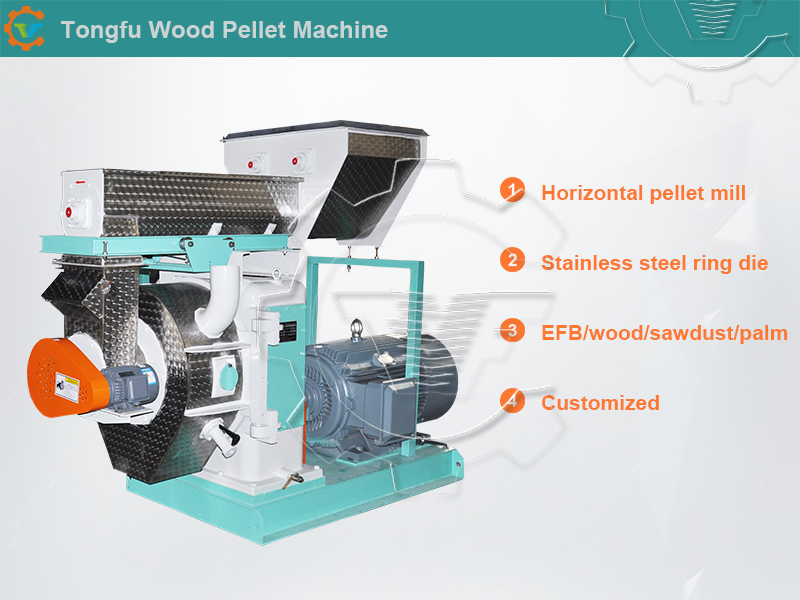 Ring Die Biomass/Wood/Rice Husk/Sawdust Pellet Mill Manufacturers