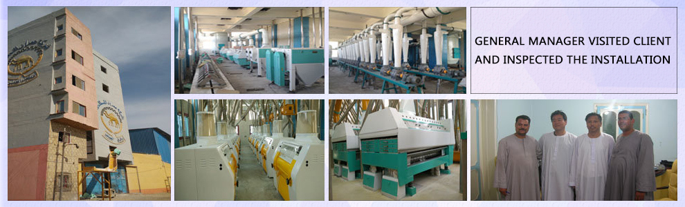 100t 120t 150t 200t Grain Wheat Flour Processing Milling Machine