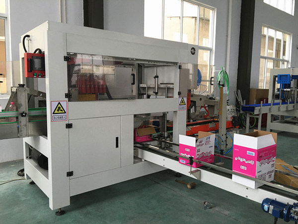 Automatic Carton/Case Packing Machine for Glass or Pet Bottles