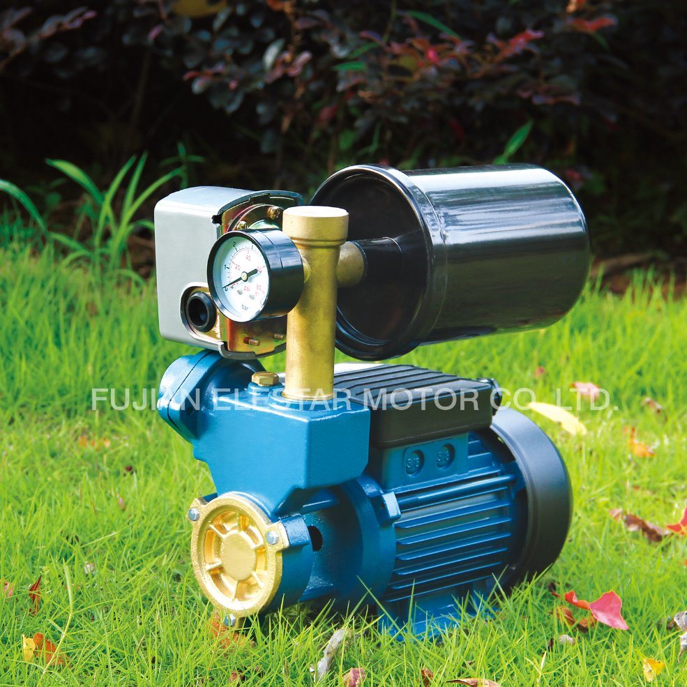 0.5HP Wz Small Booster Pump with Electric Motor Rotor