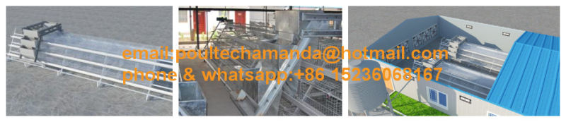 Poultry Farm Hot DIP Galvanized Pullet Chicken Cages Machine for Sale (A Type)