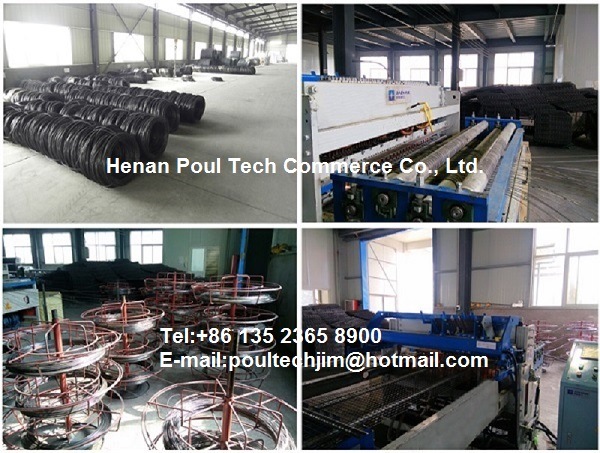 Poultry Farming Equipment Farm Machinery with Automatic Equipment