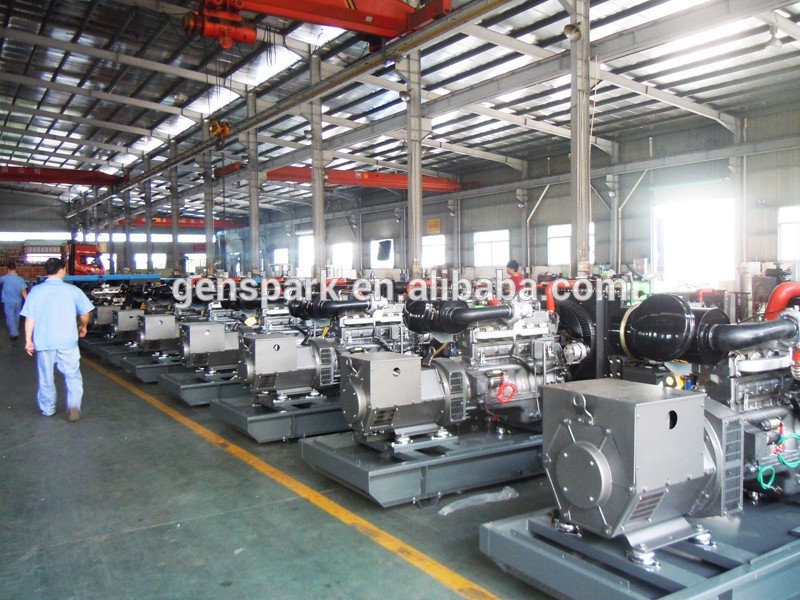 DSCN7983(production line-2).jpg