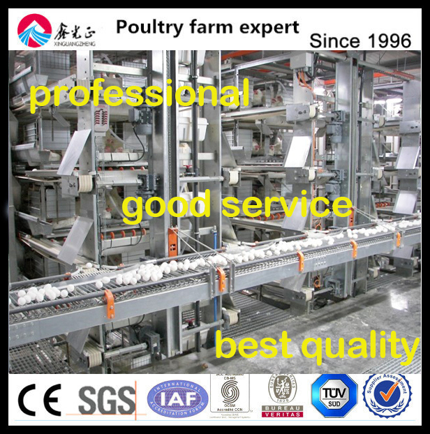 Automatic Chicken Egg Collection Machine