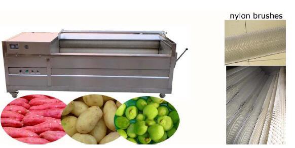 100kg/H French Fries Semi Automatic Potato Chips Plant for Sale