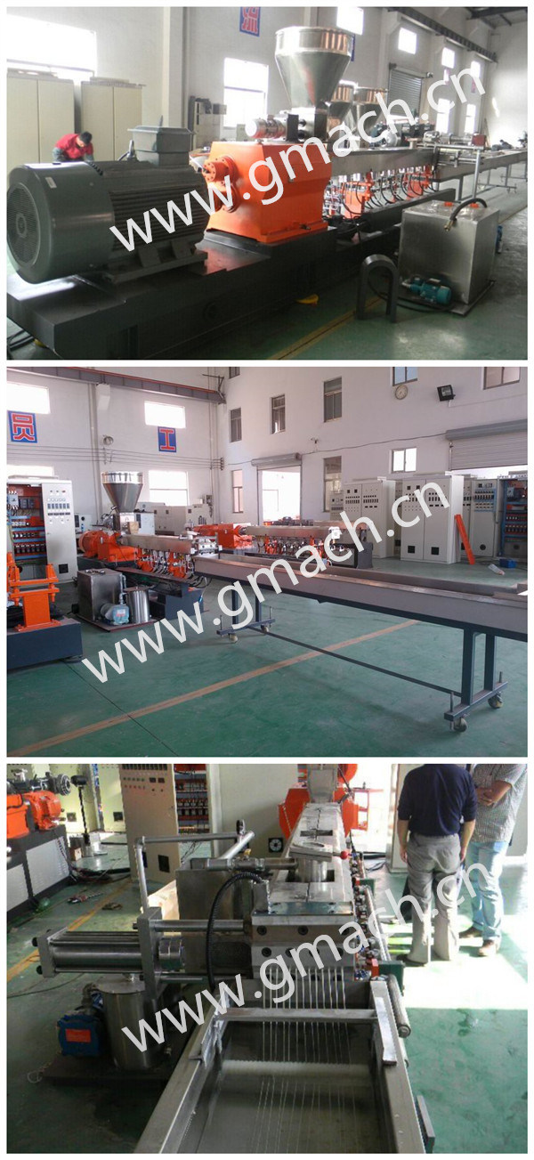 Twin Screw Plastic Extruder/Granulator/Compounding/Extrusion Plant with Screen Changer