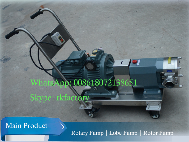 Viscosity Liquid Rotary Pump Movable Rotor Pump for Chocolate