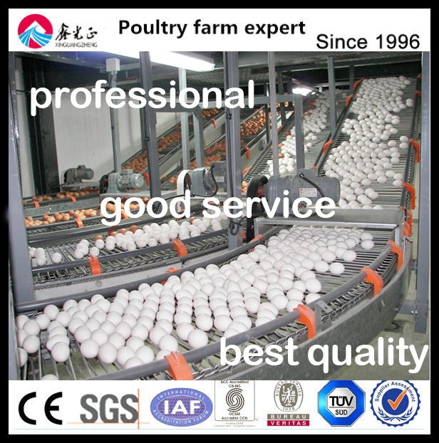 Automatic Chicken Egg Collection Machine