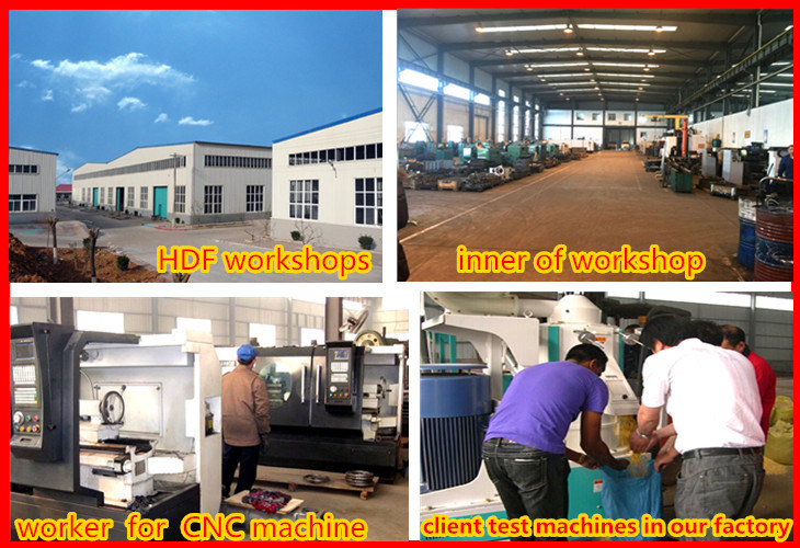 Maize Flour Processing Plant for Africa with Low Cost