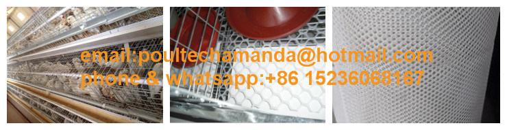 Poultry Farm Hot DIP Galvanized Pullet Chicken Cages Machine for Sale (A Type)