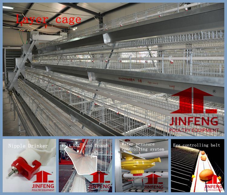 China Supplier Hot Sale High Quality Chicken Cage Poultry Machinery