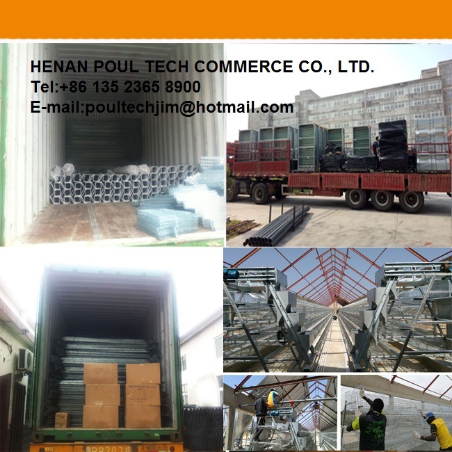 Poultry Farming Equipment Farm Machinery with Automatic Equipment