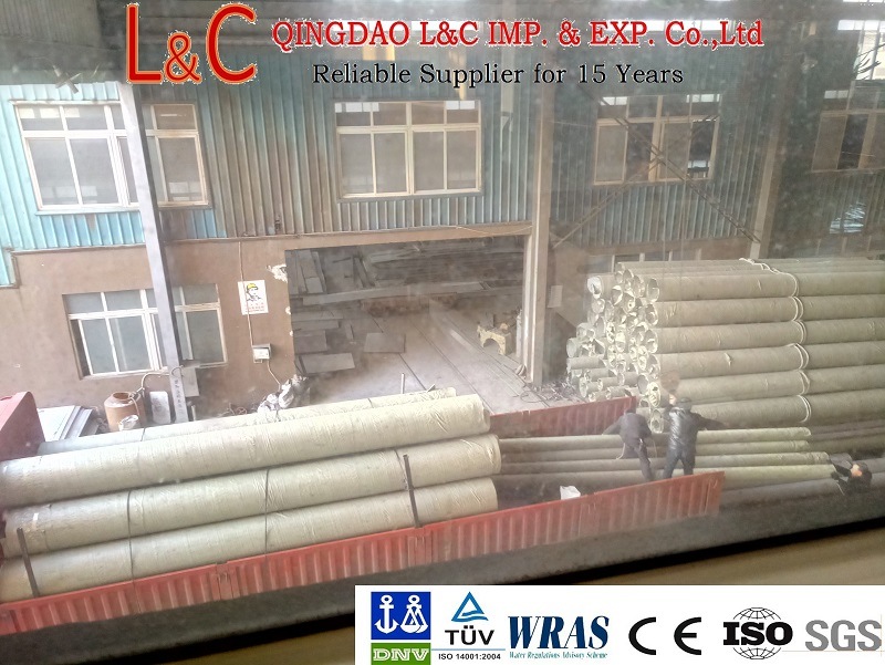 SS304 Stainless Steel Welded and Seamless Tube/Pipe