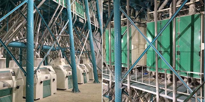 Processing Maize Corn Wheat Flour Mill Milling Machine with Complete Equipment