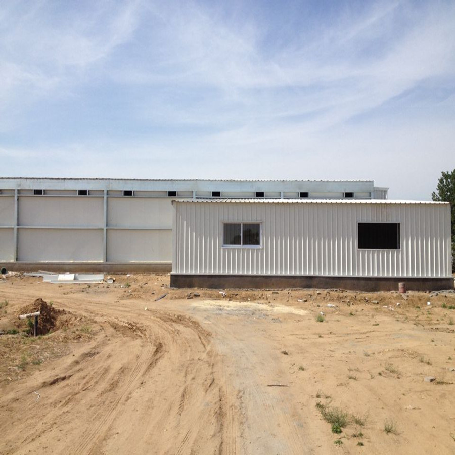 Complete Controlled Poultry Shed Farm Machinery for Chicken House