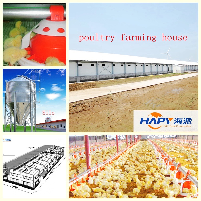 Customized Livestock Machines with House Construction with High Quality