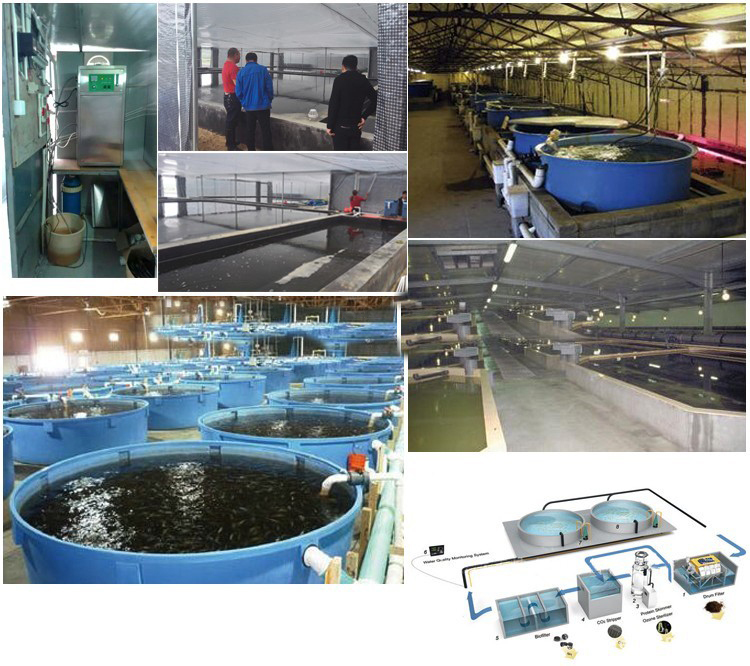 200 Gram Industrial Sewage Water Treatment Ozone Machine