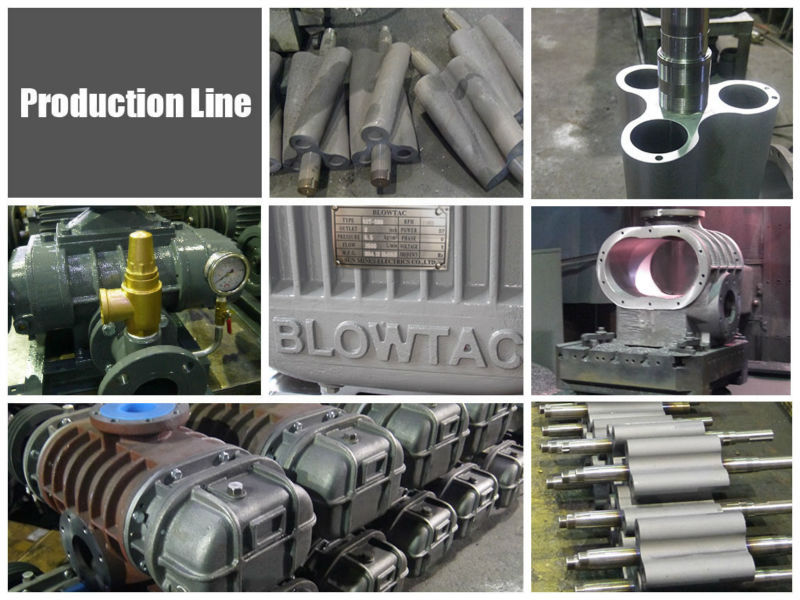 Roots Blower production line