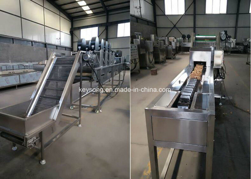 Automatic Potato Chips Making Machine Potato Chips Plant Cost