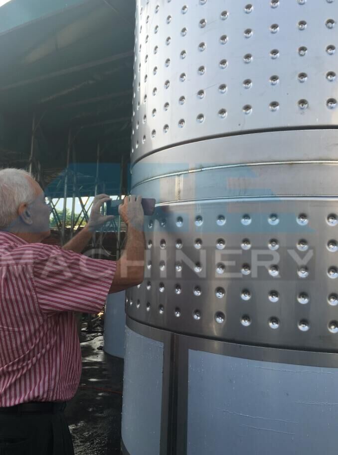100 Liters Sanitary Seeds Fermentation Tank (ACE-FJG-X7)