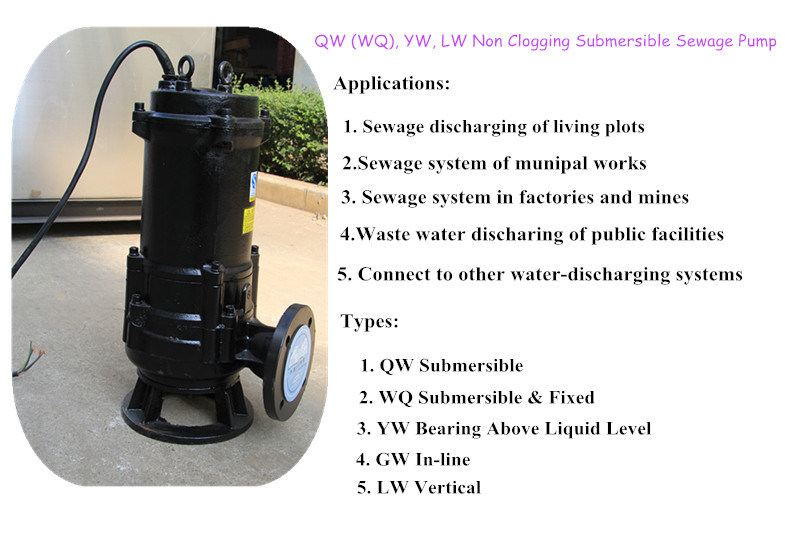Qw China Made Industrial Waste Water Self-Priming Sewage Pump