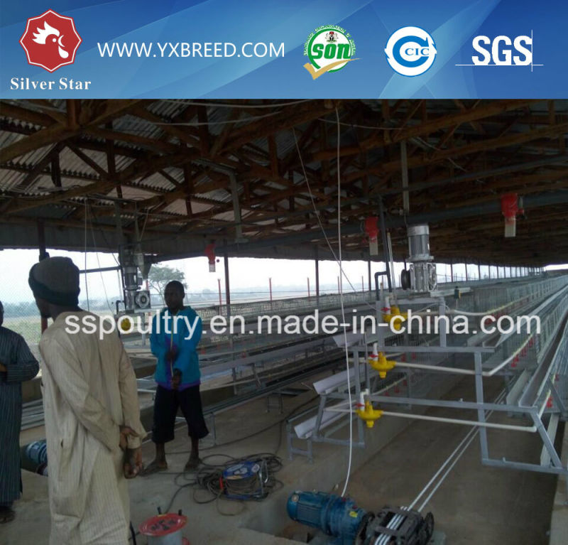 Chinese Providers Farm Machinery 4 Tiers Poultry Layer Cage