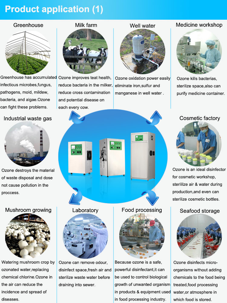 200 Gram Industrial Sewage Water Treatment Ozone Machine