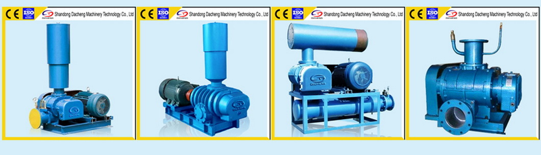 Dsr Shandong Manufacturer Roots Blower for Water Treatment