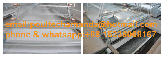 Poultry Farm Hot DIP Galvanized Pullet Chicken Cages Machine for Sale (A Type)