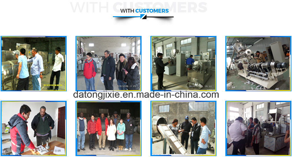 Automatic Twin Screw Dry Dog Feed Pellet Production Line Machine Price