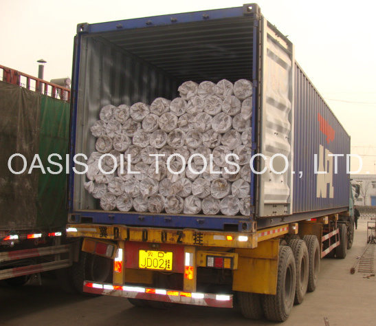 Ss316L Vee Wire Johnson Water Well Screens Pipes China Manufacturer