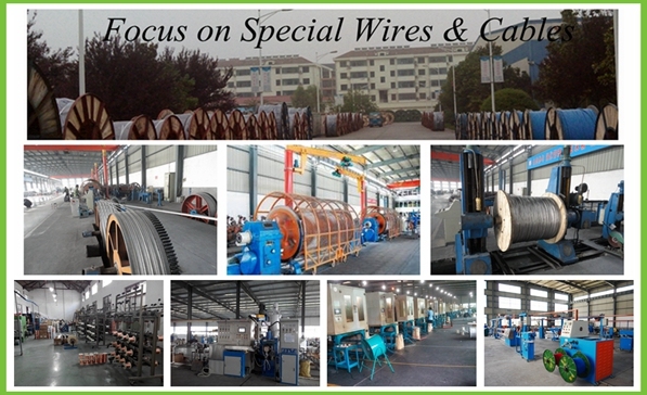 1core 3core PVC Cable, Insulated Electric Cable