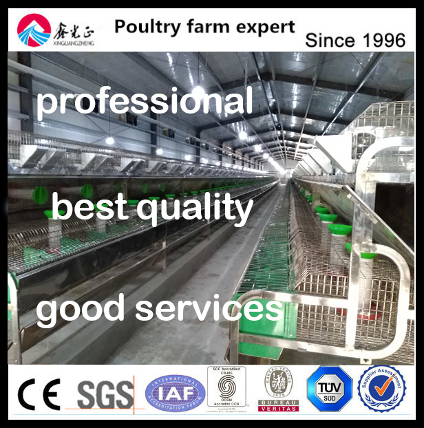 Automatic Chicken Egg Collection Machine