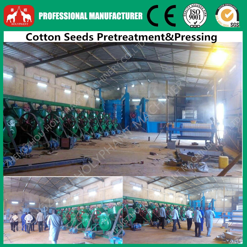 Vegetable Cotton Seeds, Rice Bran, Sunflower Seeds Oil Press Equipment