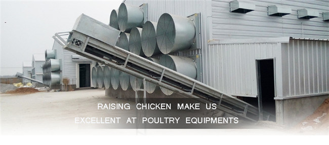 Broiler Chicken Cage Manure Scraper Cleaning Machine for Chicken Farm